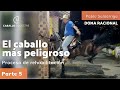 🐴🧨 El caballo más peligroso 🕉  - Proceso de rehabilitación -  Parte 5