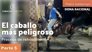 El caballo más peligroso    Proceso de rehabilitación   Parte 5