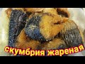 молоки лососевых запечённые под сметаной  скумбрия жареная