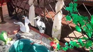 Ейск отель на Шевченко видео Отдых в Ейске у самого моря: описание, гостиницы в Ейске у моря