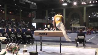 Matthew Loochtan - Pommel Horse - 2013 Winter Cup Prelims