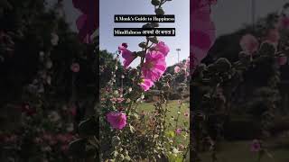 Mindfulness आपको शेर बनाता है - अ Monk's Guide to Happiness-Book Summary- Gelong Thubten