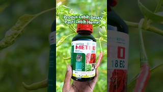 Ampuh Banget!!! Insektisida Hama Anti Ulat & Serangga Metro 🌱🐛