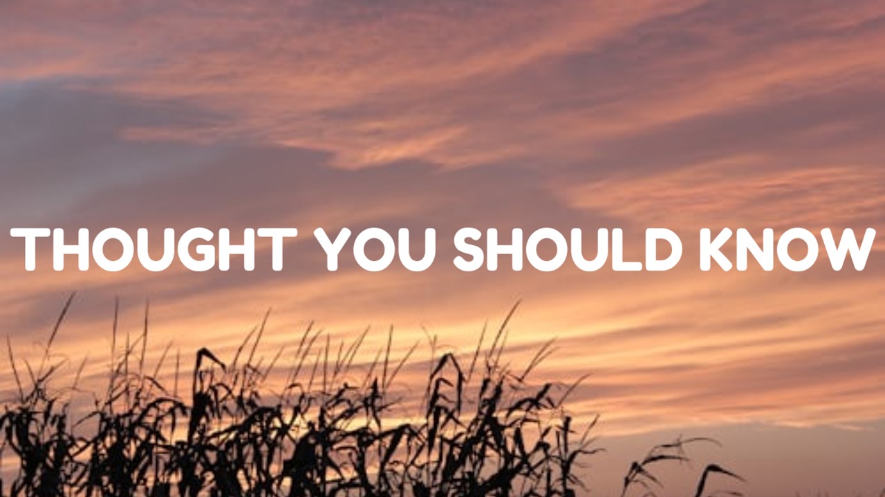 Cover Morgan Wallen - Thought You Should Know (Lyrics) | Official Lyric Video
