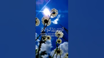 #سورة_الصافات #مشاري_العفاسي #tiktok #اكسبلور #راحة_نفسية #آيات_من_القرآن