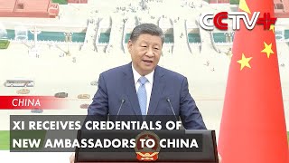 Download Lagu Xi Receives Credentials of New Ambassadors to China MP3 Download Lagu Xi Receives Credentials of New Ambassadors to China MP3