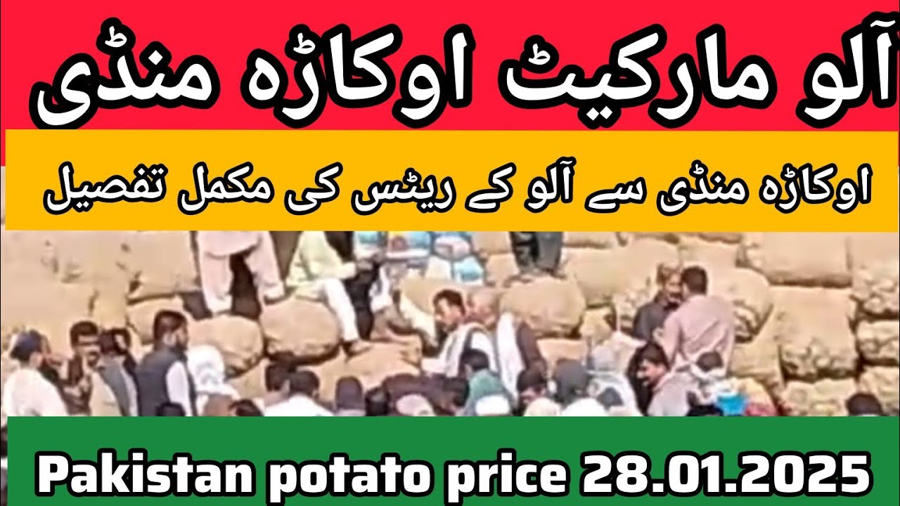 Potato Mandi Rate Today Okara Punjab Pakistan Aalu Rate Sabzi Mandi potato-mandi-rate-today-okara-punjab-pakistan-aalu-rate-sabzi-mandi
