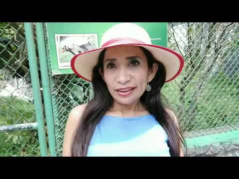 Zoológico de Baños de Agua Santa Ecuador.