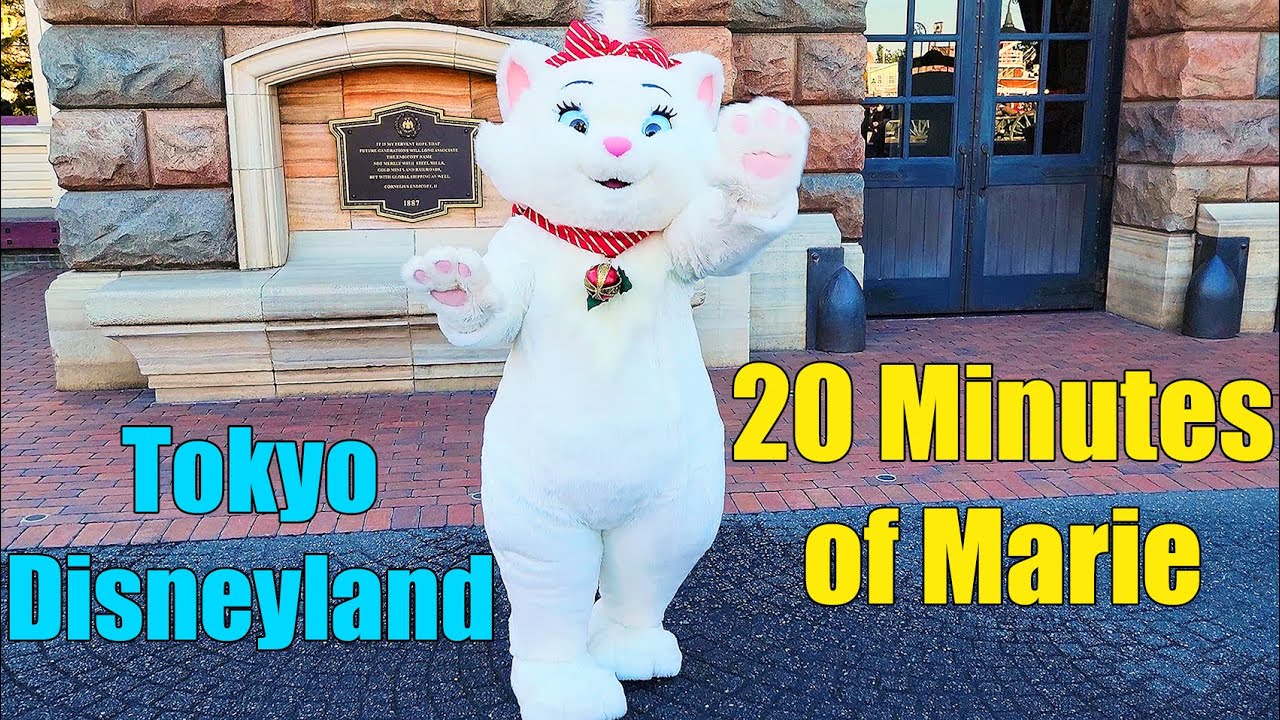 Marie at Tokyo Disneyland from the Aristocats Being Cute for 20 minutes Tokyo Disneysea Vlog