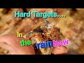 Hard Targets In The Rainbow Layer A Pick Sparking Battle To Get The Nuggets Out 
