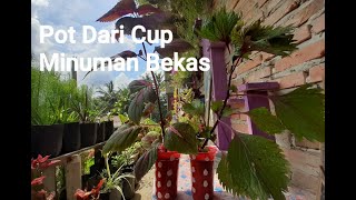 Tutorial Buat Pot Bunga Dari Cup Minuman Bekas Auto Cantik 2020