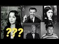 WHAT HAPPENED TO THE CAST OF THE ADDAMS FAMILY AFTER THE SHOW?