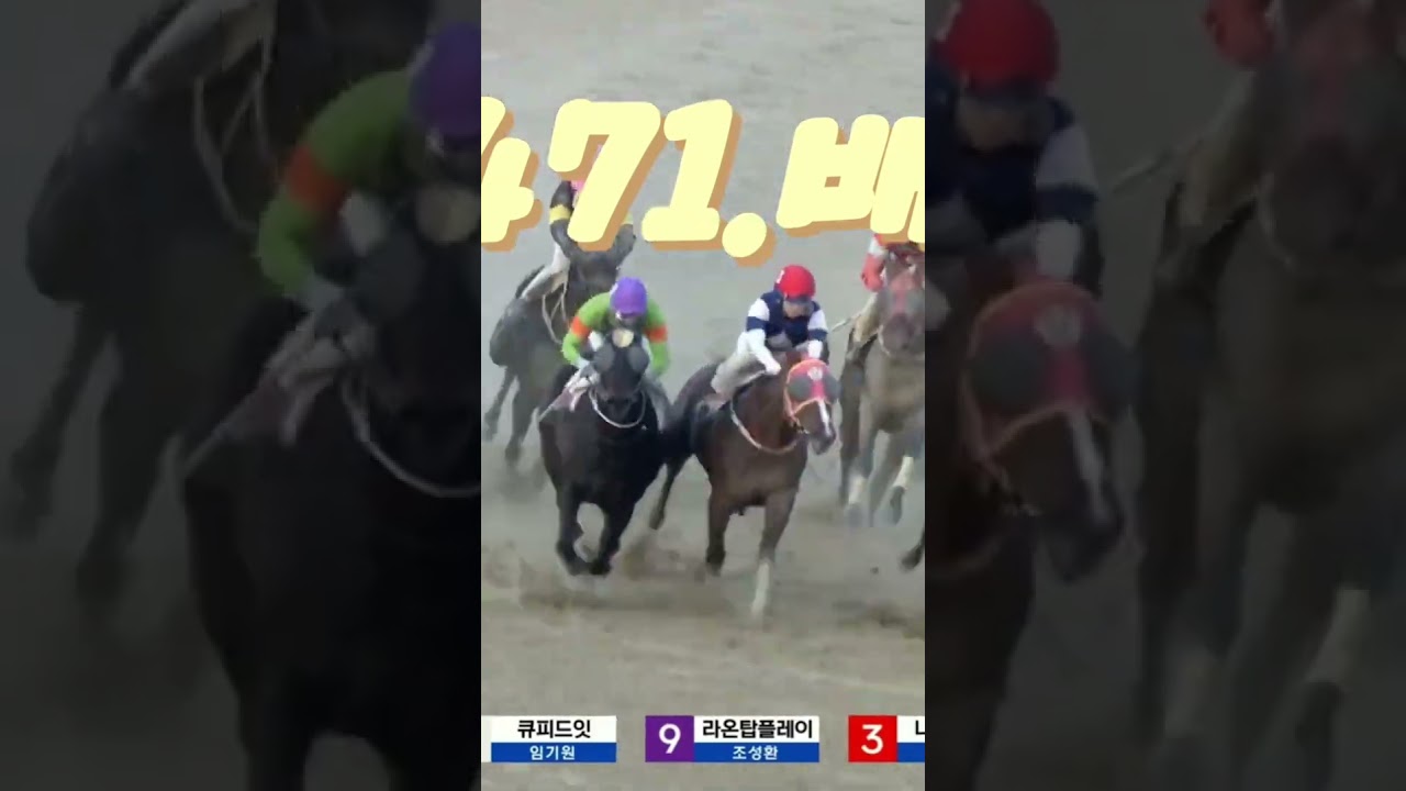 또  471.배   28배적중