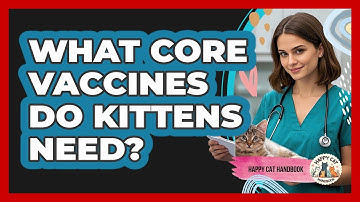 What Core Vaccines Do Kittens Need? - Happy Cat Handbook