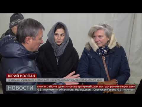 В гости к тиграм: визит экс-главы австрийского МИДа. Новости. 18/12/2023. GuberniaTV