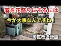 【60代シニアライフ】春を満開のお花で彩りたい♪