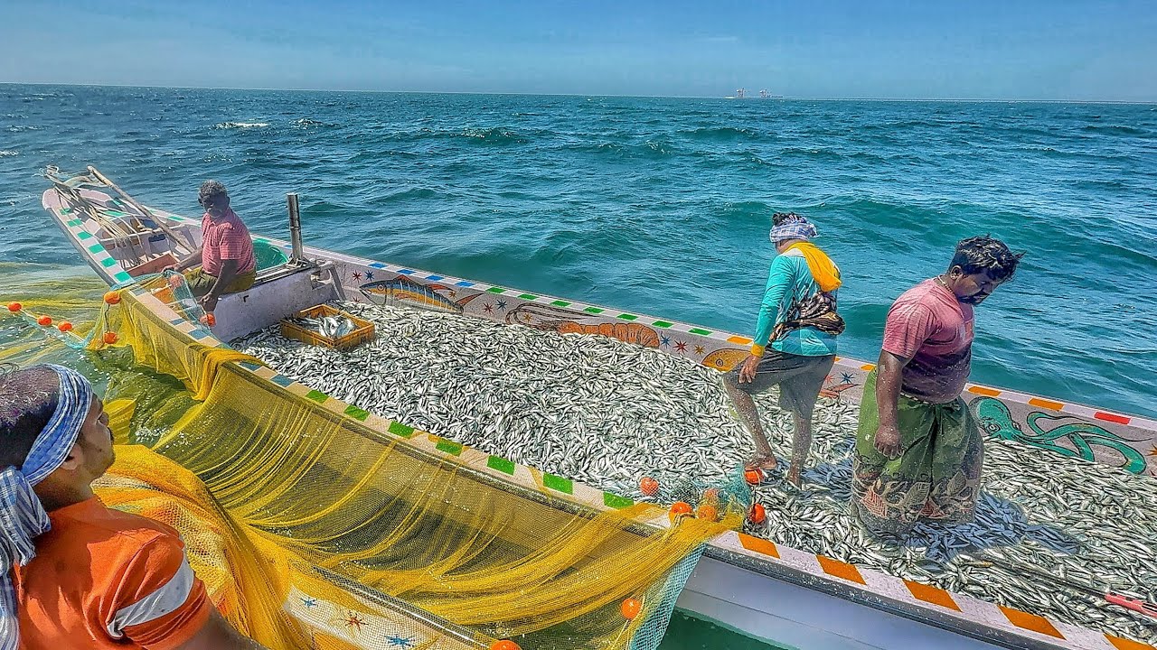 😳UnBelive!! Small Fishing Boat Full Of Loaded!!!