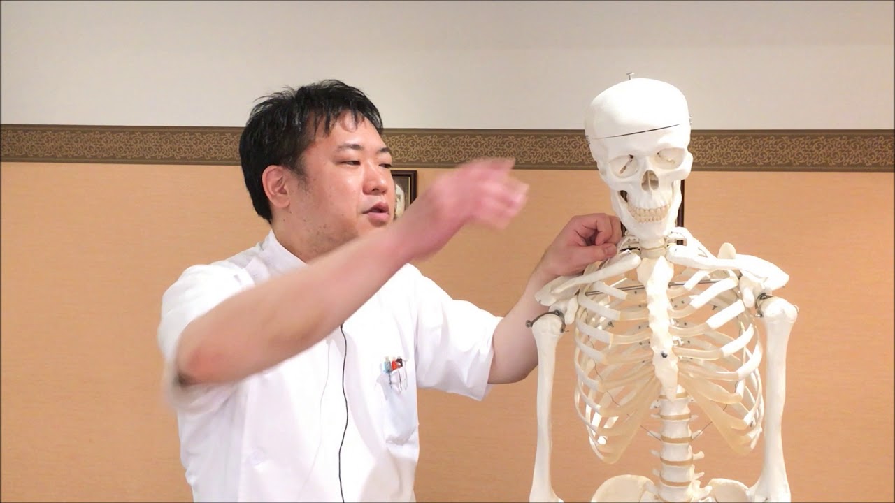 証明写真で顔が傾く原因 整骨院 東大阪市 河内永和駅 Youtube