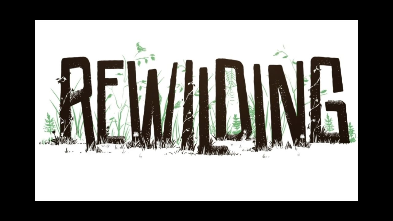 ReWilding Explainer Vid