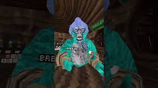 Toxicity in Gtag Speedrun!