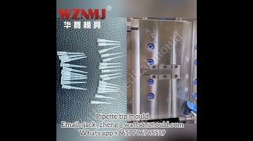 Pipette tip mould          Email : jack_zheng@wattsonmould.com              Whats app:+8617706765519