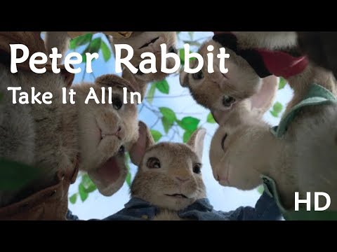 Peter Rabbit | Peter Get In to Mr. McGregor's Garden |Peter vs McGregor