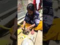 আজকে মাম্পি ইচোর কাটলো #yutubeshorts #trendingshorts #myfirstvlog