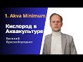 1. О2 в Аквакультуре–Основы и Важность | Akva Minimum