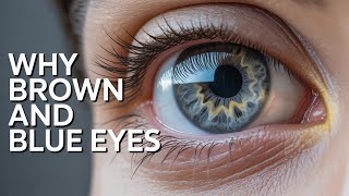 Information Why Brown and Blue Eyes Aren’t What We Think Update