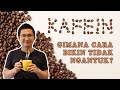 Minum 100 Gelas Kopi Dapat Menyebabkan KEMATIAN? | Cara Kerja, Efek Samping, dan Manfaat KAFEIN