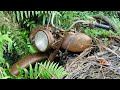 Restoration vintage military motorcycle | Retoring rusty Sidecar Ural