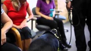 2011 Hero Dog Awards | Sadie