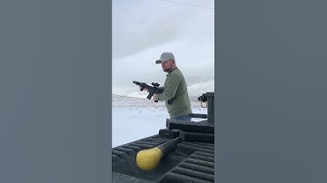 Fostech Echo ARII trigger