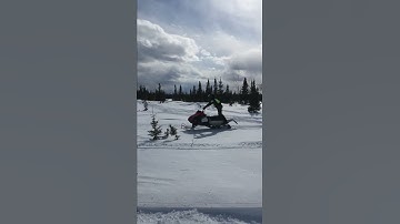 Polaris IQR Wheelies