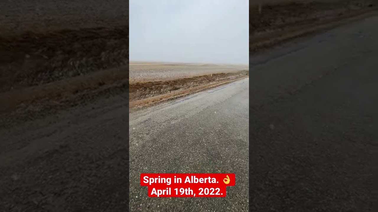 Spring in Alberta, Canada.👌- April 19th, 2022 