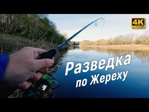 Проверил речку на клёв Жереха  Спиннинг с берега, рыбалка весной 2023