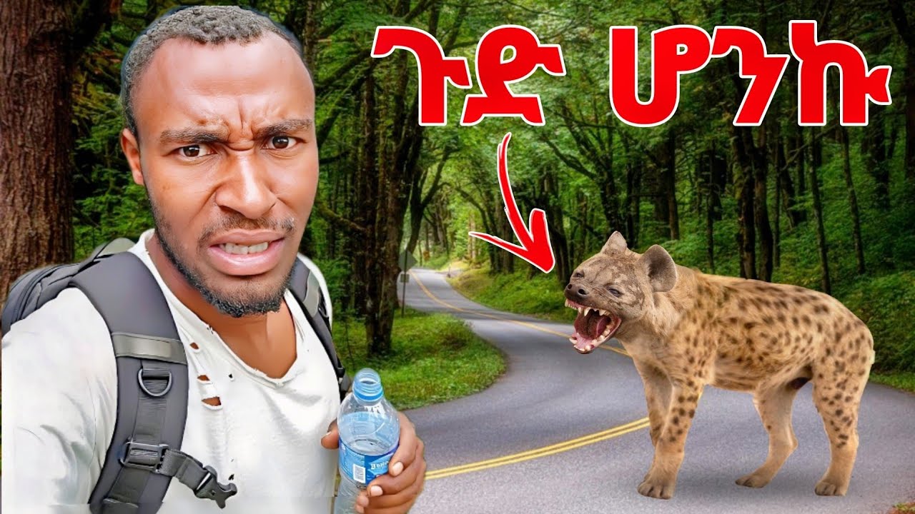 አዲስ አበባን 31 ኪሎሜትር በእግሬ አቋረጥኩ ጅብ በልቶኝ ነበር #survival #ethiopianvlog 