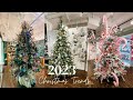 Introducing christmas trends 2023 by david christophers