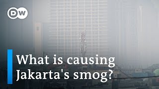 Jakarta ranked most polluted city in the world | DW News