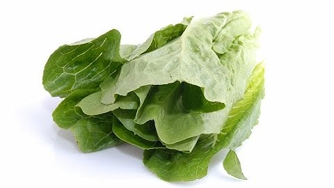 Spray optical sorting machine for Romaine salad | RAYTEC VISION SpA