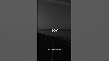 Encuentra paz en lugar de soledad siendo introvertido. #SHorts #introvertido #paz #mentalidad