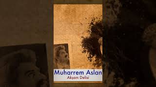 Muharrem Aslan - Akşam Delisi Resimi