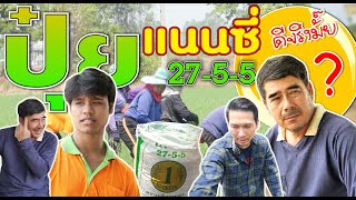 ทดลองใช้ 27-5-5 แนนซี่ ข้าวแตกกอดี ใบเขียวตั้ง เขียวทน เขียวนาน #นาดีดีดอทคอม #ชาวนา #เกษตรกร