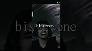 mais uma pedrada dele mesmo bis...tecone