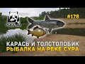 Карась и Толстолобик. Рыбалка на реке Сура - Русская Рыбалка 4 #178