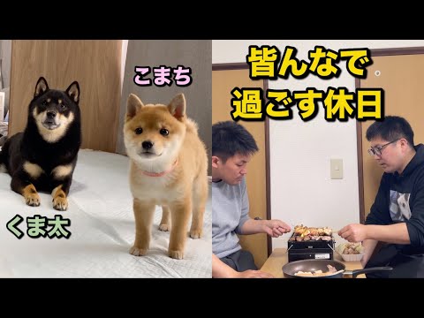 とびだせ くま太とこまち - YouTube