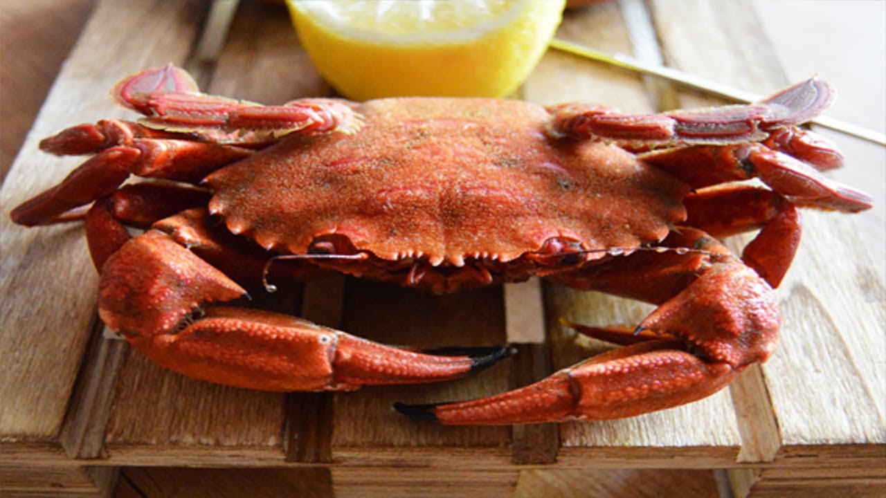 Cómo cocer y preparar Nécoras de una forma muy sencilla, Saca el Cucharón
