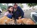 Kasihan KUCING 🐈 ku Lapar - Makan Koko Krunch bareng kucing Lucu | Salsa and Family