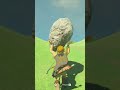 Rock VS Rock in Breath of the Wild