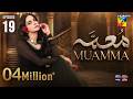 Muamma Episode 19 Eng Sub 25th February 2026 Saba Qamar Ali Ansari HUM TV
